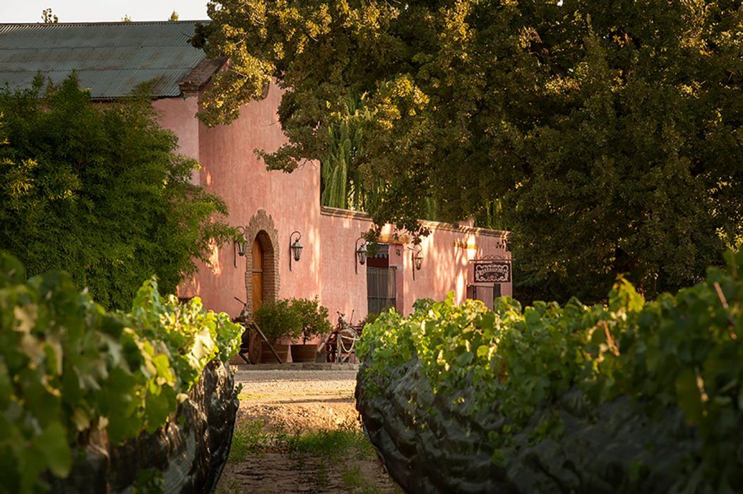Clos de Chacras Winery