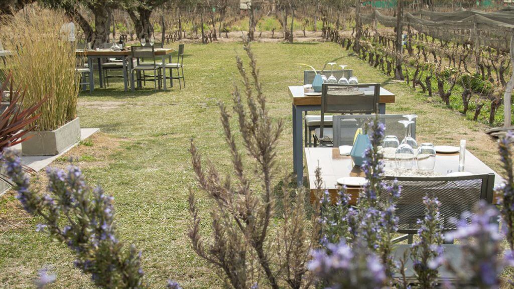 Patio de Comida en Bodega Roberto Bonfanti