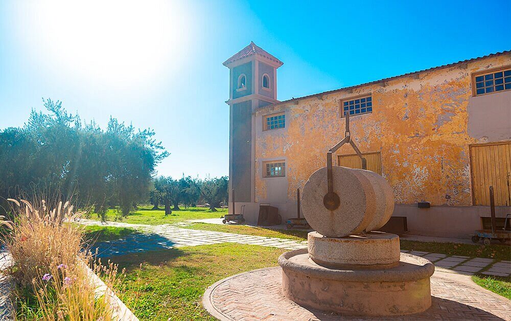 Laur Olive Oil Factory