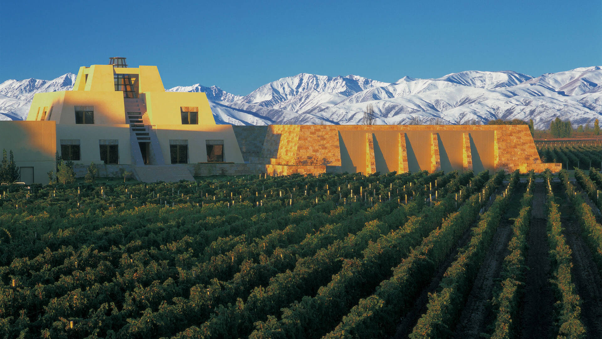 Catena Zapata Winery